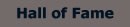 Hall of Fame button